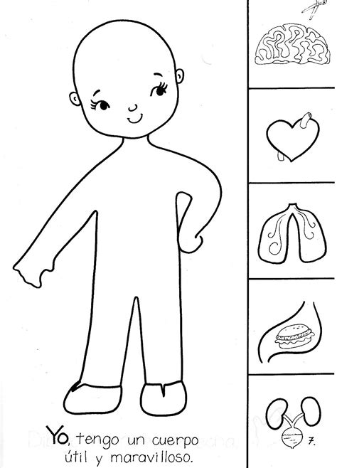 actividades para preescolar Buscar con Google Cuerpo humano para niños Organos del cuerpo