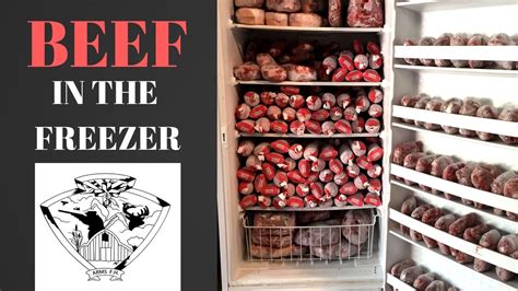 Freezer Full Of Fresh Grass Fed Beef Youtube