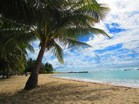 Barbados Most Beautiful Beaches Beautiful Beaches Barbados