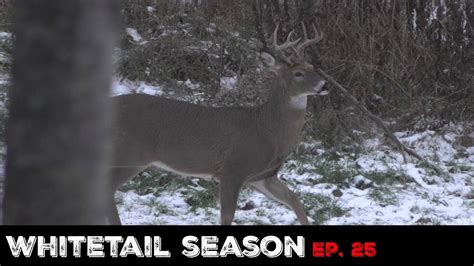 Whitetail Rut Hunting Pa Archery Season Rut Vacation Ep 8 Youtube
