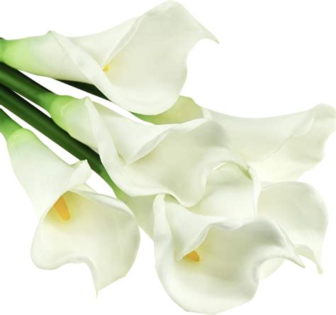 Amazon Com Fiveseasonstuff Real Touch Calla Lily Artificial Flowers