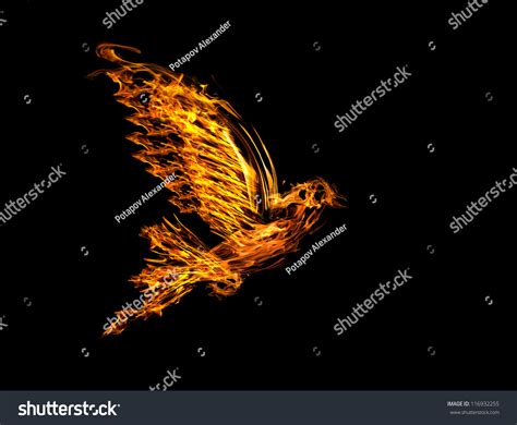 Flame Flying Dove Isolated On Black Stock Photo 116932255 Shutterstock