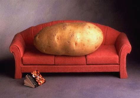 The Active Couch Potato How To Eliminate Himher