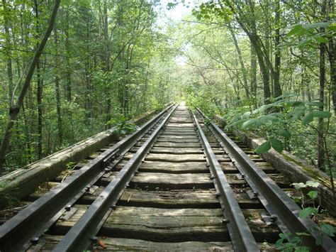 1280x800 Resolution Photo Of Gray Rail Track Between Trees Nature