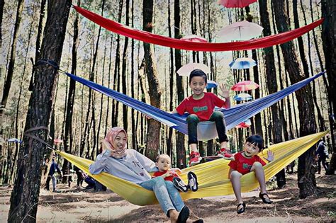 Hal ini dikarenakan kota malang memiliki banyak destinasi wisata menarik baik wisata alam, kuliner, dan juga budaya. 5 Spot Foto Hammock Di Malang Raya - Amazing Malang