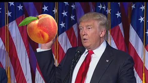 White House Press Release Trump Wants “lasting Peach” In Middle East