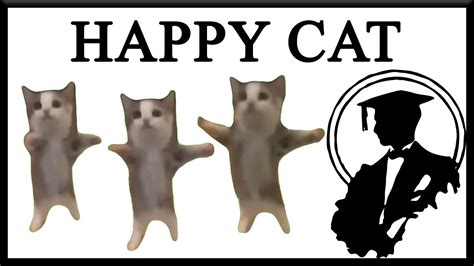 Happy Happy Happy Cat Has Its Own TV Show YouTube