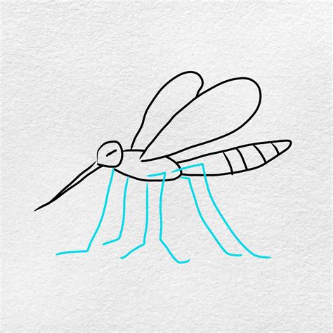 How To Draw A Mosquito Helloartsy