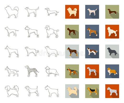 Top Dog Breeds Pet Outline Collection Stock Vector Illustration Of