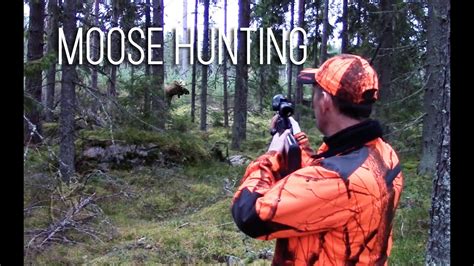nh hirvijahti 2016 moose hunting in finland 2016 youtube