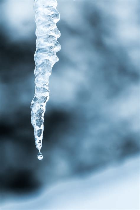 Free Images Water Snow Winter Ice Blue Close Up Icicle Melting