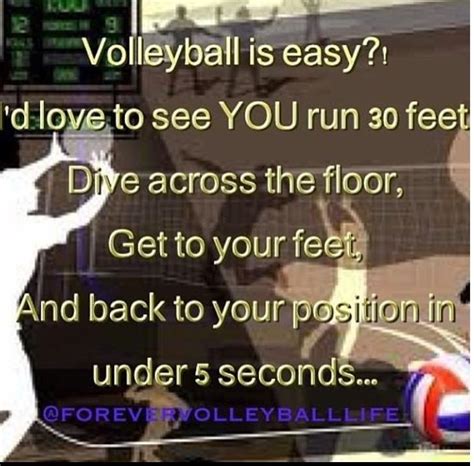 For The Ppl Who Say Volleyball Isnt A Sport I Know So Many People And Then When They Play