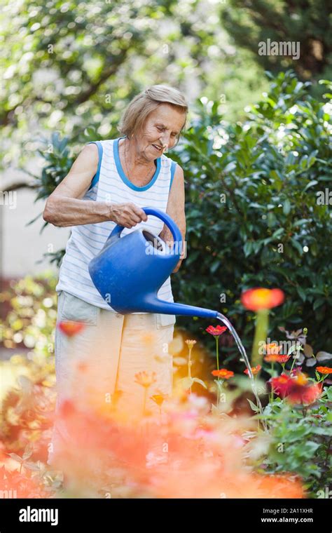 Elderly Woman In Her 80s Watering Plants In Her Garden Stock Photo Alamy