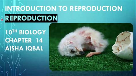 Introduction To Reproduction Class 10 Youtube