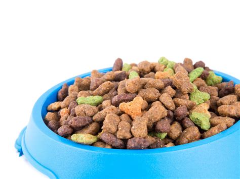 When can puppies eat dry food. Former nurse 'forced to eat dog food' after her benefits ...