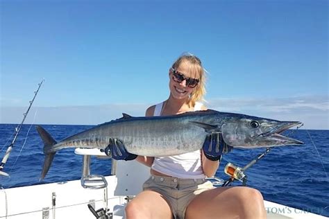 Wahoo Fishing: species guide, charters and destinations ...