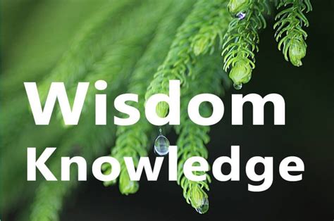Wisdom And Knowledge