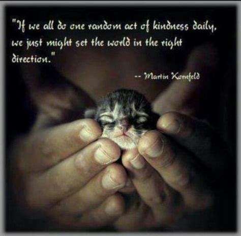 Here are 105 of the best kindness quotes i could find. 252 best ideas about Animals - Quotes on Pinterest | Friendship, Life goes on and Pain d'epices