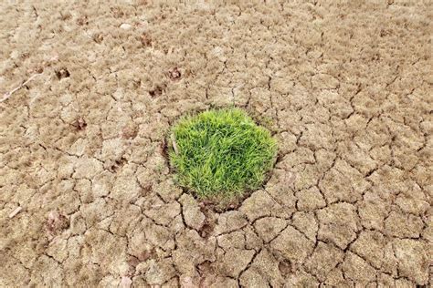 Teerão Enfrenta A Pior Seca Em 50 Anos Sic Notícias