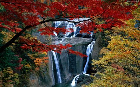 Waterfall Landscape Autumn Trees Rock Hd Wallpapers