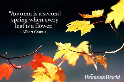 Fall Quotes And Sayings To Get You In The Spirit Of Autumn
