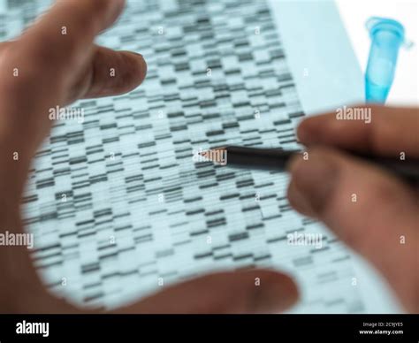 Scientist Dna Profile Experiment Hi Res Stock Photography And Images