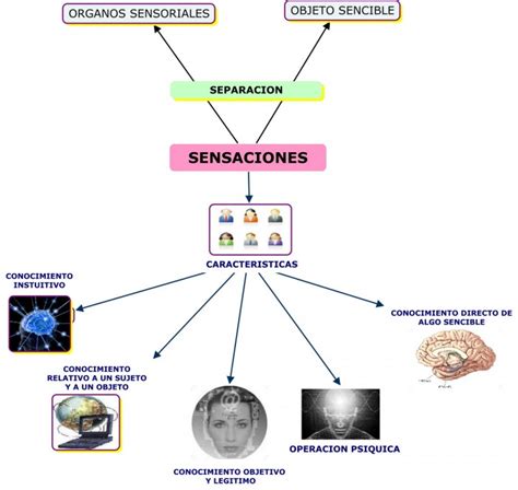 Mapas Mentales Sobre Sensaciones Cuadro Comparativo