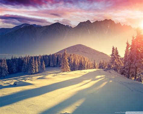 Nice And Beautiful Winter Wallpapers And Theme For Windows 10