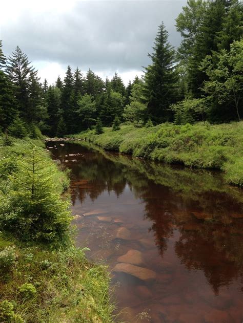 Check spelling or type a new query. 17 Best images about monongahela national forest on ...