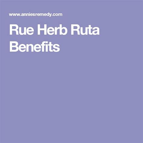 Rue Herb Ruta Benefits Herbs Medicinal Herbs Herbalism