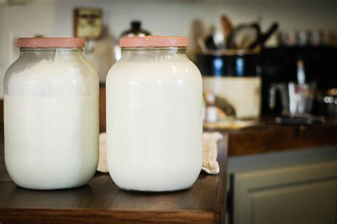 Safely Handling Raw Milk And Proper Milking Procedures