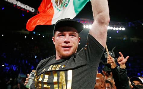 Download Wallpapers Saul Alvarez Boxer World Champion Wbc Wba The