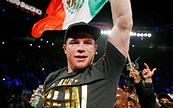 Download wallpapers Saul Alvarez, Boxer, world champion, WBC, WBA, The ...