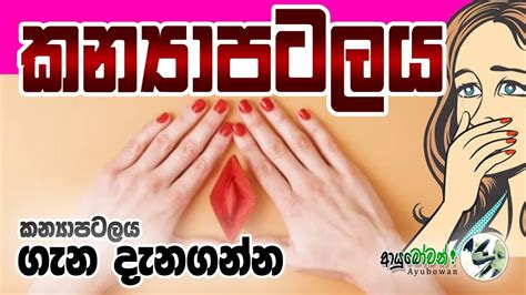 කන්‍යා පටලය The Hymen Ayubowan ආයුබෝවන් Mlt Anushika Perera Youtube