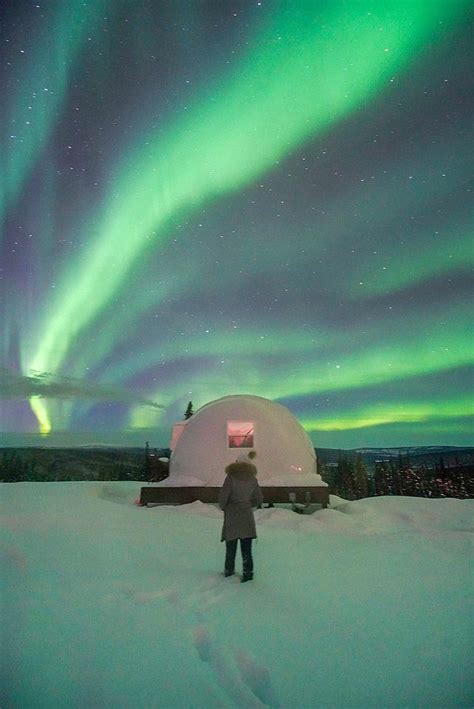 my stay at the borealis basecamp fairbanks alaska alaska travel northern lights trips