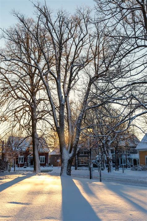 Snow Shadows Stock Image Image Of Sunset Winter Neighborhood 62062927