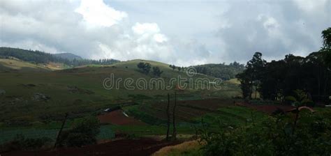 Nature View Ooty Hill Station In Nilgiri District In Tamilnadu This