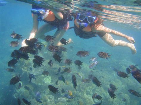 Puerto Galera The Gateway To Spectacular Underwater World Tripoto