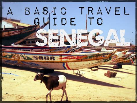 A Basic Travel Guide To Dakar And Senegal Budget Travel Tips Travel
