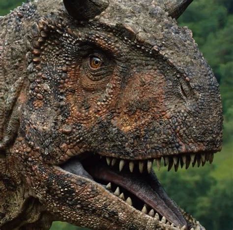 Carnotaurus Jurassic Park World Jurassic World Dinosaurs Jurassic Images And Photos Finder