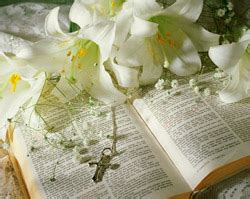 Download and use 1,000+ bible stock photos for free. Selected Holy Bible Verses for Easter