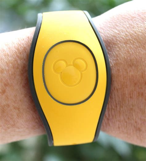 disney magic bands ultimate guide the frugal south