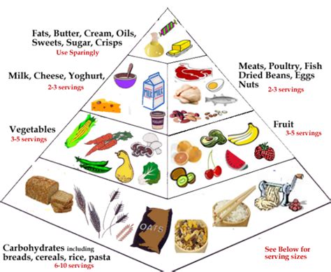 A balanced diet is one that provides the body with all the essential nutrients, vitamins and minerals required to maintain cells, tissues and organs as well as to a balanced diet needs to contain foods from all the main food groups in the correct proportions to provide the body with optimum nutrition. Balanced Diet and Cholesterol Control | HubPages