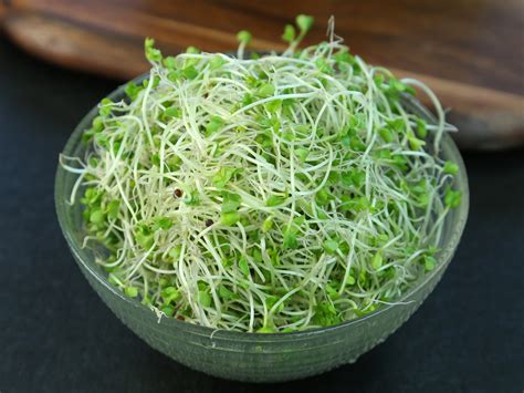 Broccoli Sprouts Could Treat Mental Disorders Easy Health Options