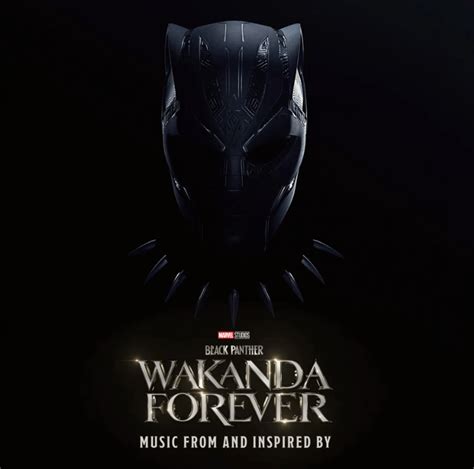 Movie Review Black Panther Wakanda Forever The Match
