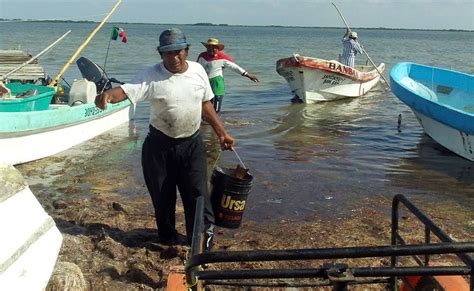 Acusan Pasividad Federal Ante La Pesca Furtiva En La Costa Yucateca