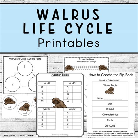 Walrus Life Cycle Printables Simple Living Creative Learning
