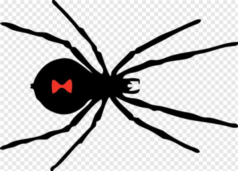 Black Widow Spider Black Widow Spider Man Homecoming Cute Spider