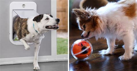 9 Amazing Must Have Gadgets For Pets