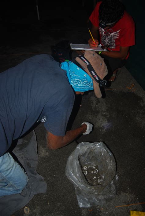 Conserving Marine Turtles In The Eastern Pacific Of Nicaragua People